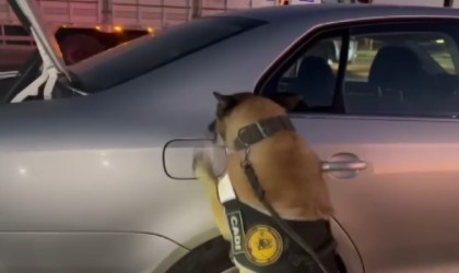 Hassas burunlu Cadı tepki verdi, yakıt deposu kapağından uyuşturucu çıktı