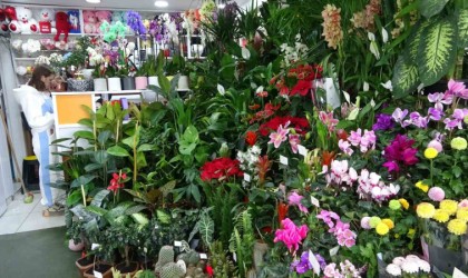 Öğretmenler Günü için çiçekçilerde yoğun mesai