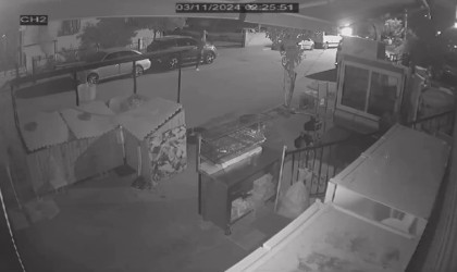 Park halindeki 13 aracın dikiz aynasını kırdı