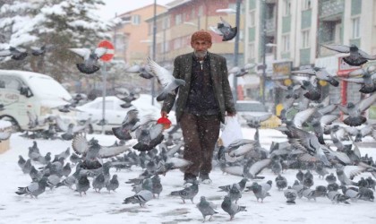 Rüyasında aldığı emirle 20 yıldır her gün kuşları besliyor