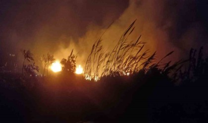 Samandağda alevler geceyi aydınlattı