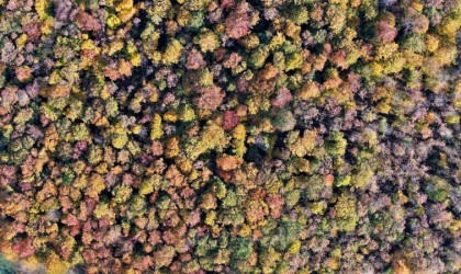 Samsun sonbaharda göz kamaştırıyor