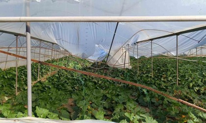 Serayı 1 yıl arayla 3 kez hortum vurdu