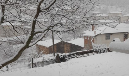 Tavşanlıda kar yağışı
