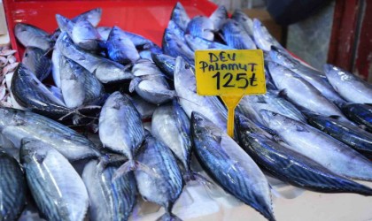 Ucuz palamut için son günler