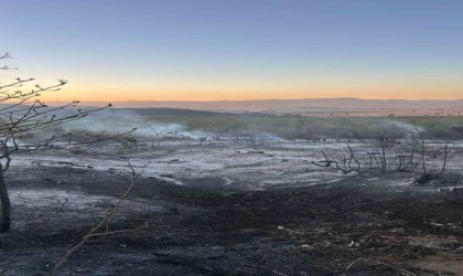 Yenişehirde çıkan yangın kontrol altına alındı