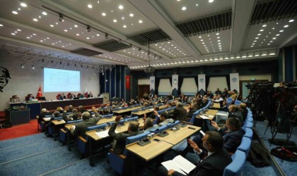 Yüzde 50 hibeli damızlık erkek manda dağıtılacak