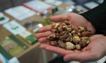 60 milyar dolarlık pazarda Samsun, “Ben de varım” dedi