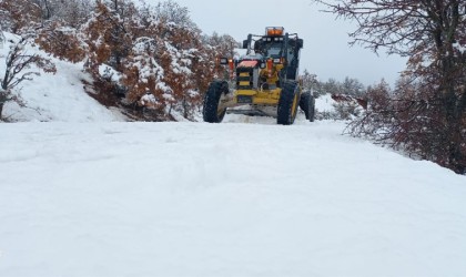 Afyonkarahisarda 9 ilçe ve 56 köyde karla mücadele çalışmaları sürüyor