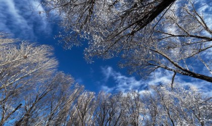 Ağrıda soğuk hava etkisini sürdürüyor