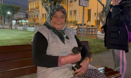 Aracın motoruna giren yavru kediyi yaşlı kadın kurtardı