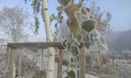 Ardahanda Sibirya soğukları etkili oluyor