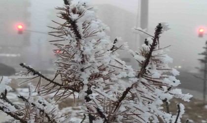 Ardahanda soğuk hava ve sis hayatı olumsuz etkiliyor