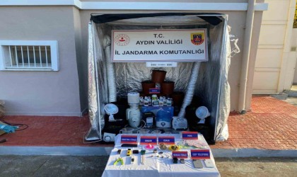 Aydın jandarmasından uyuşturucu operasyonu: 31 gözaltı