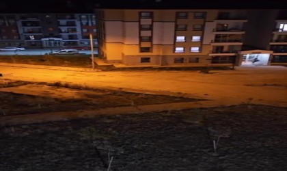 Ayı vatandaşı böyle kovaladı