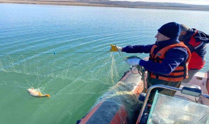 Barajda 4 kilometre uzunluğunda hayalet ağ çıktı, ağa takılan balıklar yeniden suya salındı