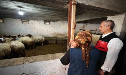 Başkan Tahmazoğlu: “Hayvancılığa desteğimiz sürecek”