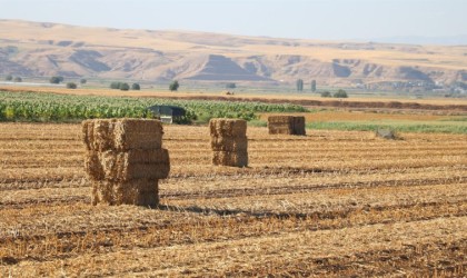 Batmanda anız yakanlara 22 milyonluk ceza