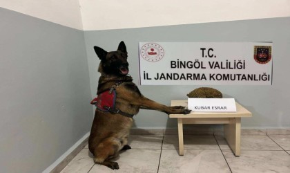 Bingölde uyuşturucu ve aranan şahıslara yönelik çalışma