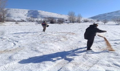 Bitliste yaban hayvanları için doğaya yem bırakıldı