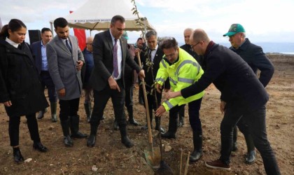 Büyükşehirden şehit Aybüke öğretmen anısına hatıra ormanı