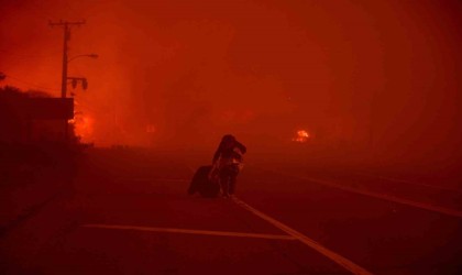 Californiada orman yangını: 3 bin 983 dönüm arazi küle döndü