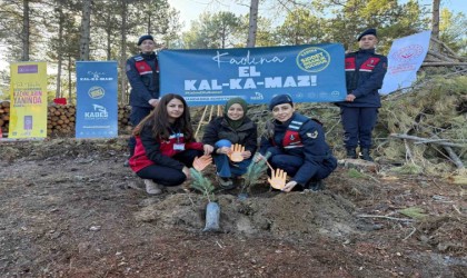 Çinede fidanlar kadına şiddete karşı toprakla buluştu