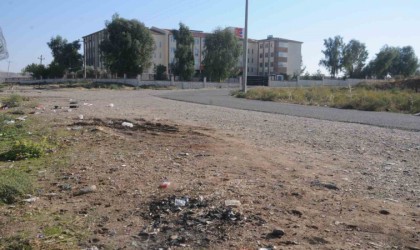 Cizrede okul yollarında alkol şişeleri