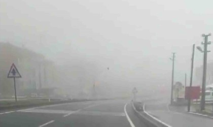 Denizlide sis sürücülere zor anlar yaşatıyor