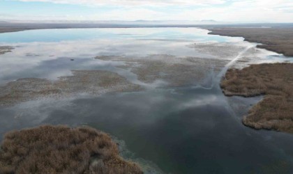 Eber Gölünde su seviyesi artmaya başladı