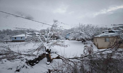 Elazığda yoğun kar yağışından dolayı ağaçlar devrildi