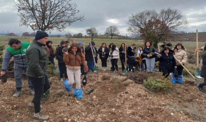 Emette fidan dikim etkinliği