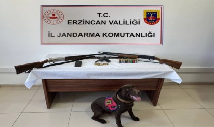 Erzincan jandarmasından suç olaylarına geçit yok