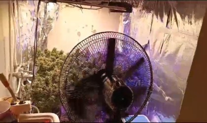 Evin içinde özel iklimlendirme sistemiyle uyuşturucu imalatı