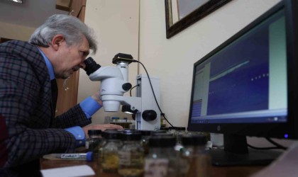 Fırat Üniversitesinden dünya çapında tıbbi sülük eğitimi