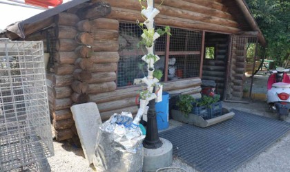 Geri dönüşüm atıklarından ‘Güneş Enerjisiyle Çalışan Dikey Tarım Sistemi kurdu