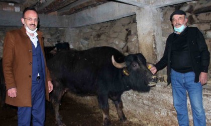 Giresunda 289 manda işletmesine 8 milyon 422 bin 600 TL destek ödemesi yapıldı