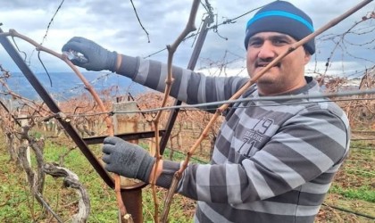 Güneşi gören bağa koşuyor