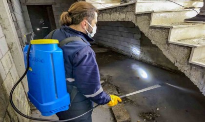 Haşerelere karşı kapsamlı kışlak çalışması başlatıldı