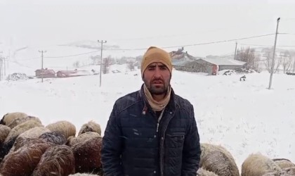 Hayvan yetiştiricilerinin 2 bin 150 rakımda zorlu kış mesaisi