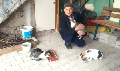 Hisarcıkta emekli gece bekçisi sokak kedilerini besliyor
