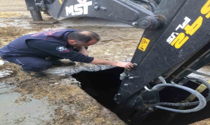 İtfaiye ekipleri kuyuya düşen gebe inek için zamanla yarıştı