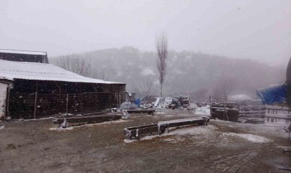 Kar, Balkanlardan Edirneye giriş yaptı: Sınır köyler beyaza büründü