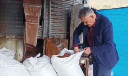 Karadenizde odun yerine kullanılan fındık kabuğu fiyatları düştü