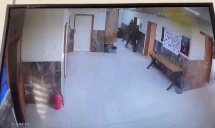 Kardeşinin okulda tartıştığı 2 öğretmeni tekme tokat dövdü