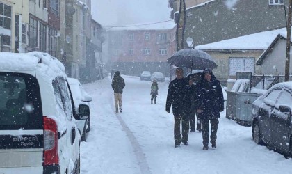 Karlıova kara teslim