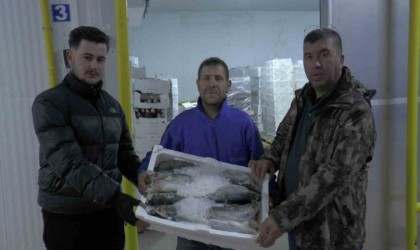 Kayseriden 6 ülkeye 10 bin 500 ton balık ihracatı