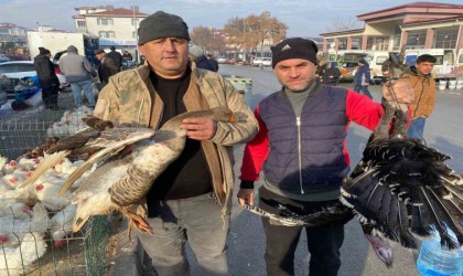 Kaz tüketimi arabaşına bağlı