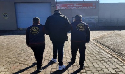Kesinleşmiş 11 yıl cezası bulunan firariyi jandarma yakaladı