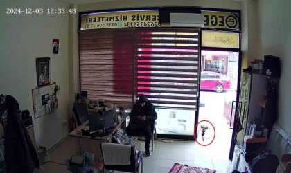 Köpek, esnafa vefa borcunu böyle ödedi